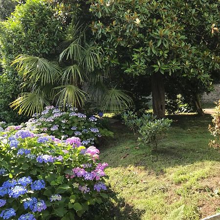 Appartamento La Camelia Ameno Exteriör bild
