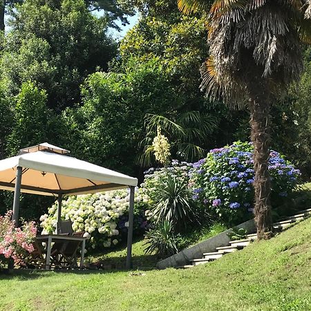Appartamento La Camelia Ameno Exteriör bild