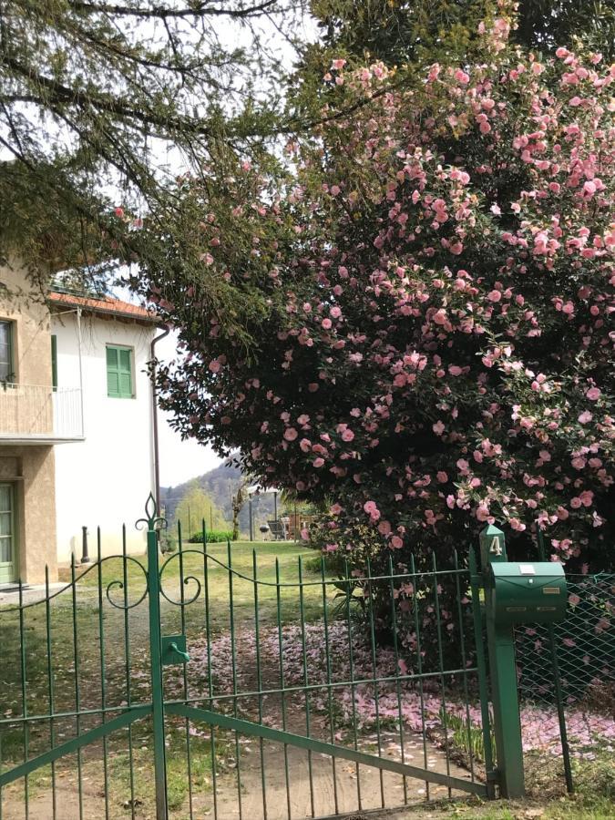 Appartamento La Camelia Ameno Exteriör bild