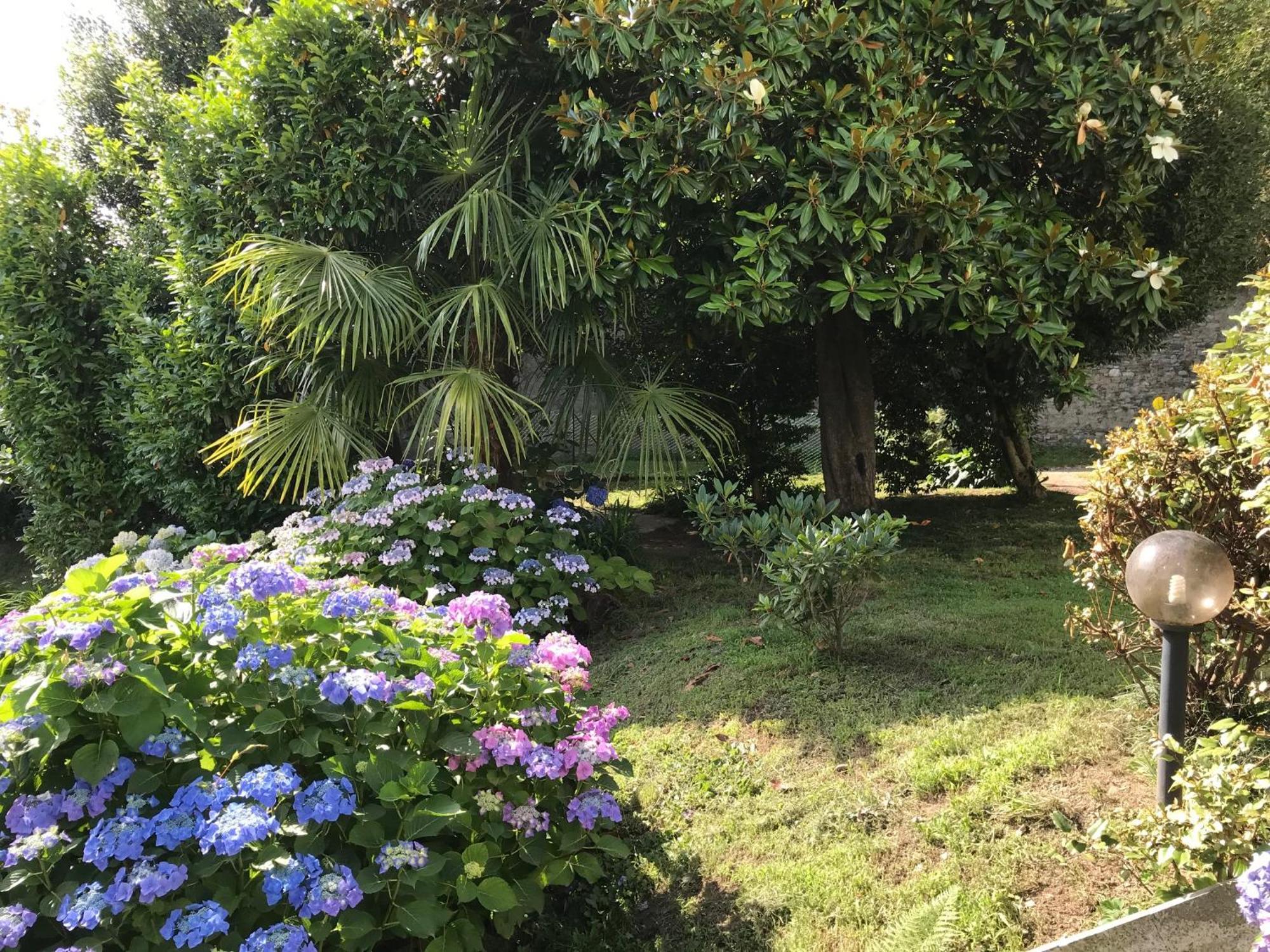 Appartamento La Camelia Ameno Exteriör bild