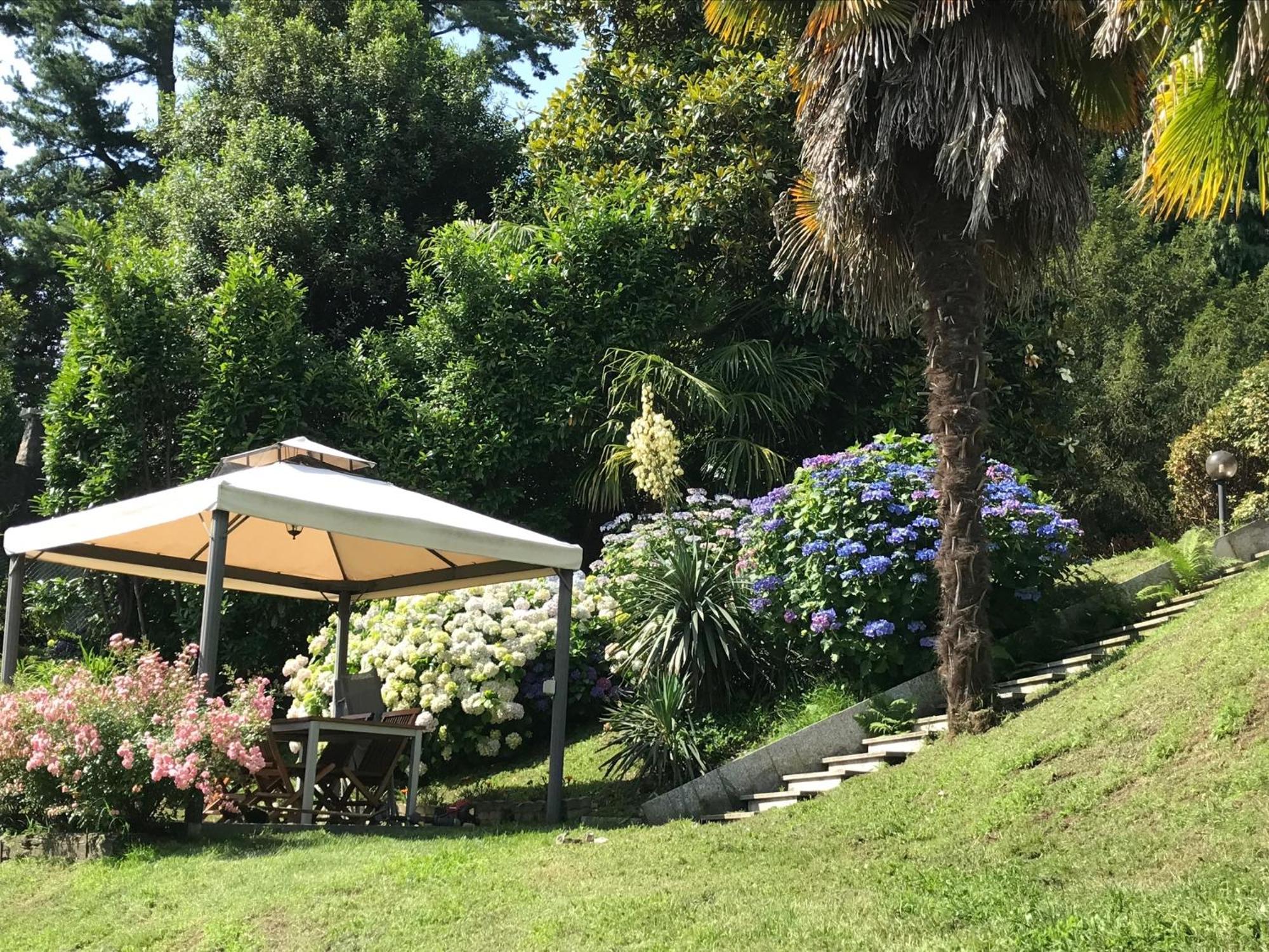 Appartamento La Camelia Ameno Exteriör bild
