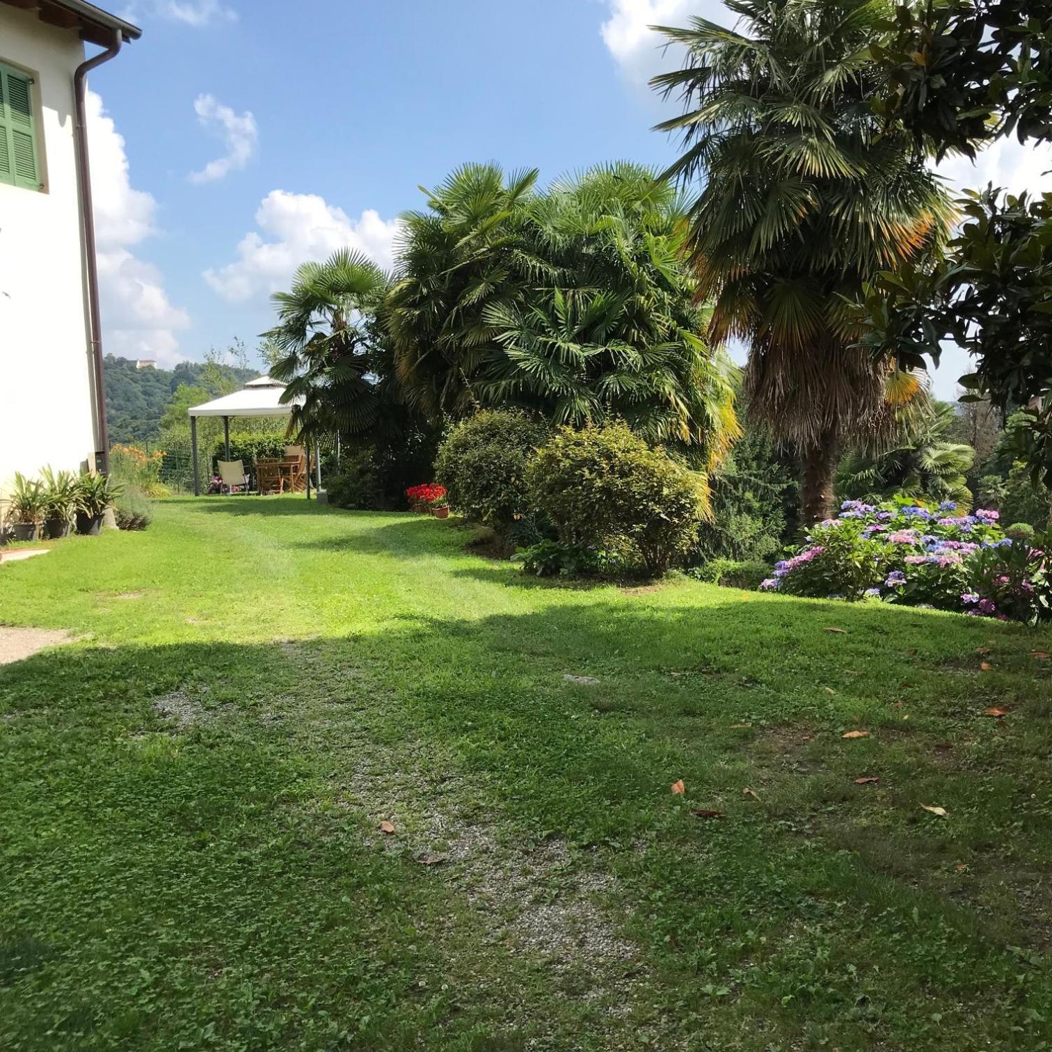 Appartamento La Camelia Ameno Exteriör bild